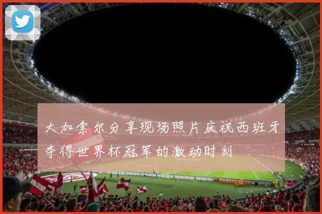 大加索尔分享现场照片庆祝西班牙夺得世界杯冠军的激动时刻
